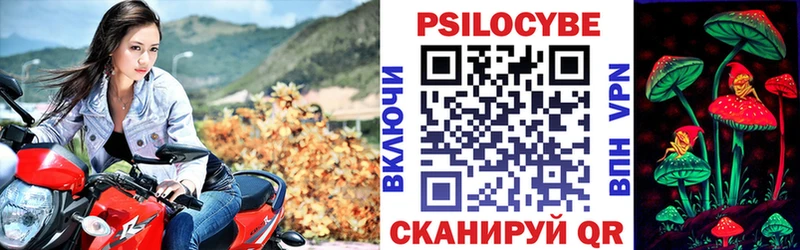 Галлюциногенные грибы Cubensis  Купить  Лянтор 
